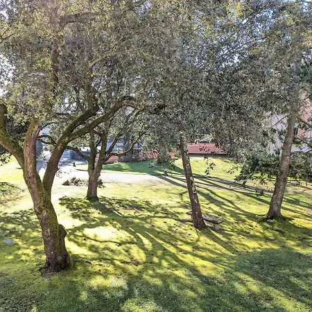 Sous Les Pins - 400m De La Depornichet Daire La Baule